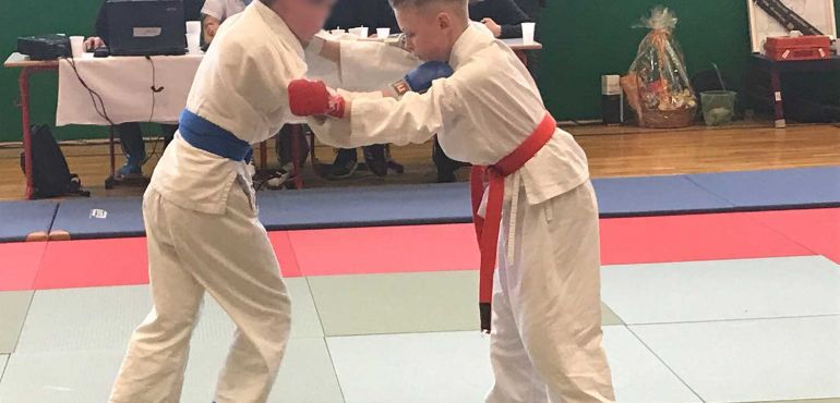 Randori Neujahrsturnier 2018